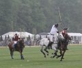 Polo_Art   102